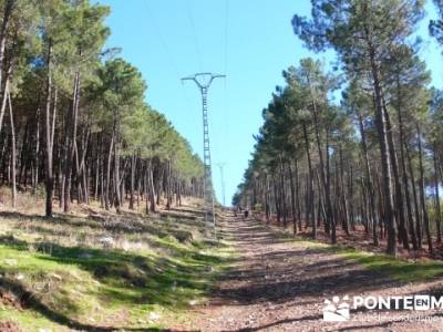 Castañar de la Sierra de San Vicente - Convento del Piélago;excursiones en madrid y alrededores